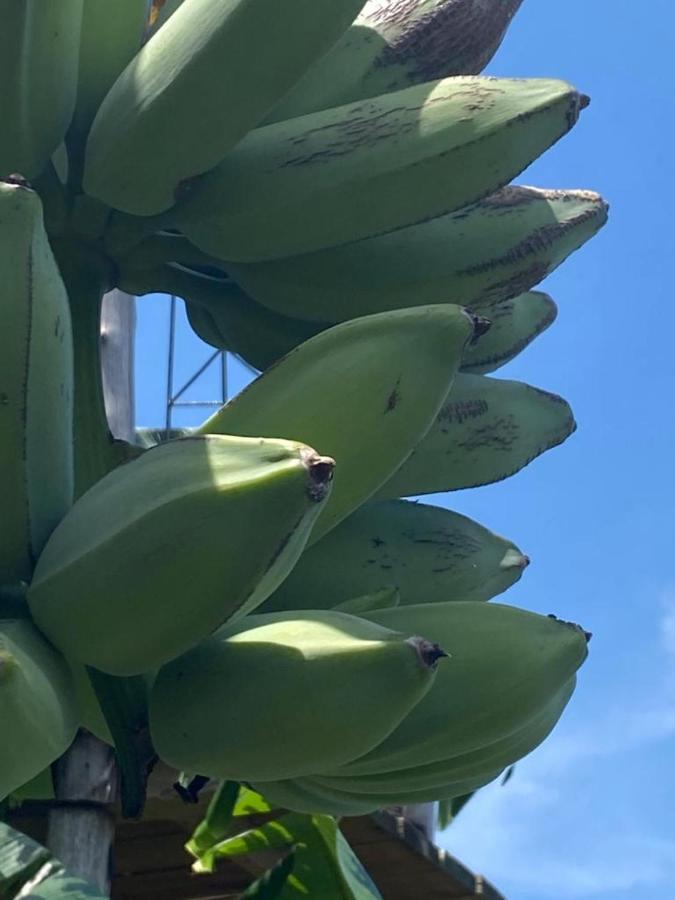 Casa Algana Villa El Limon Eksteriør billede